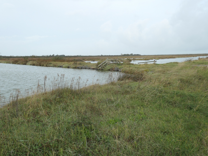 Le polder de Sébastopol réserve naturelle - Barbâtre