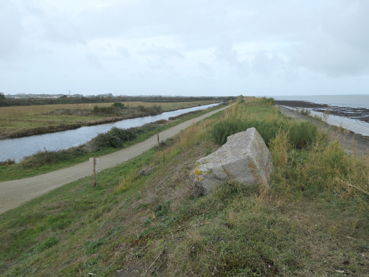 Le polder de Sébastopol réserve naturelle - Barbâtre