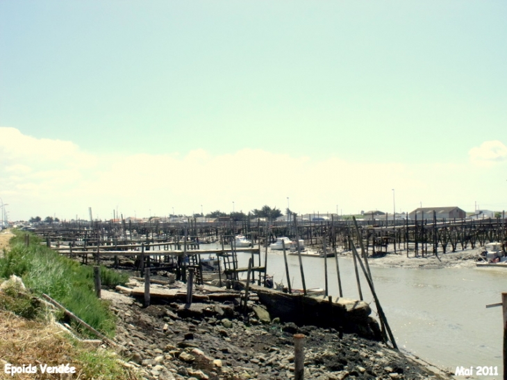 Le port ostréicole de Bouin Epoids