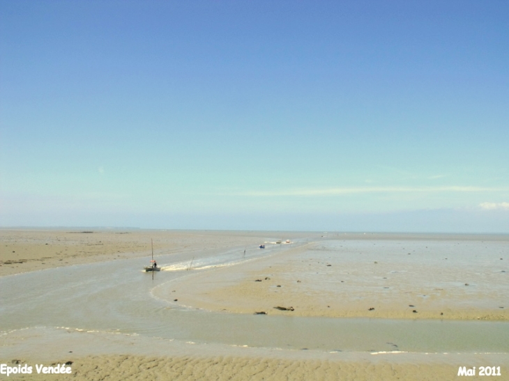 La mer découvre énormément et un petit chenal permet de rentrer - Bouin