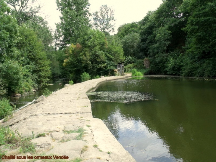 Retenue d'eau sur la rivière l'Yon a Chaillé sous les ormeaux - Chaillé-sous-les-Ormeaux