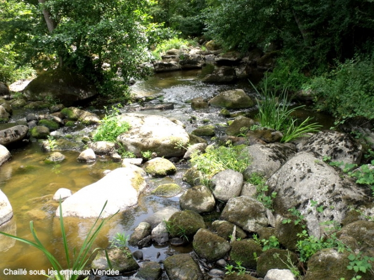 En suivant les GR le long de l'Yon - Chaillé-sous-les-Ormeaux