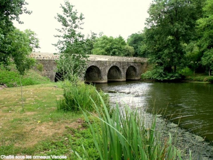 En suivant l'Yon - Chaillé-sous-les-Ormeaux