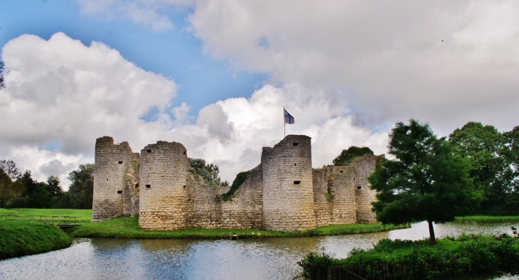 Ruines du Château - Commequiers