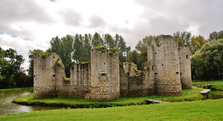 Ruines du Château - Commequiers