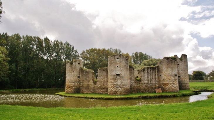 Ruines du Château - Commequiers