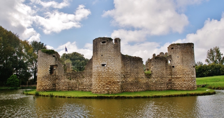 Ruines du Château - Commequiers