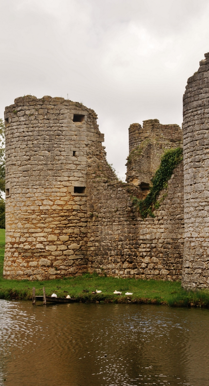 Ruines du Château - Commequiers