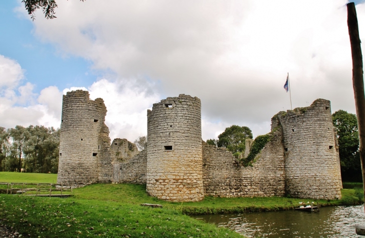 Ruines du Château - Commequiers