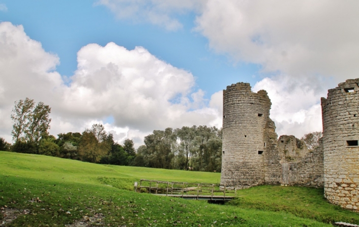 Ruines du Château - Commequiers