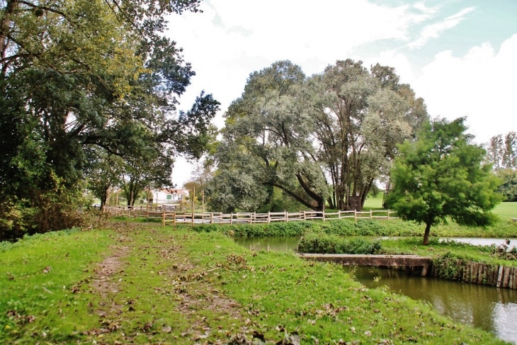 Alentours du Château - Commequiers