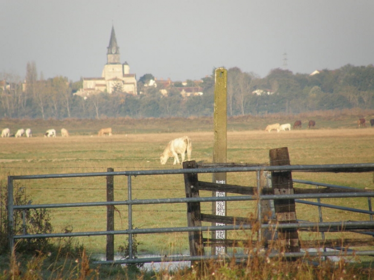 Curzon vu de lairoux