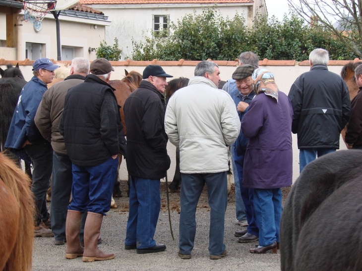 Foire au chevaux et aux ânes - Curzon