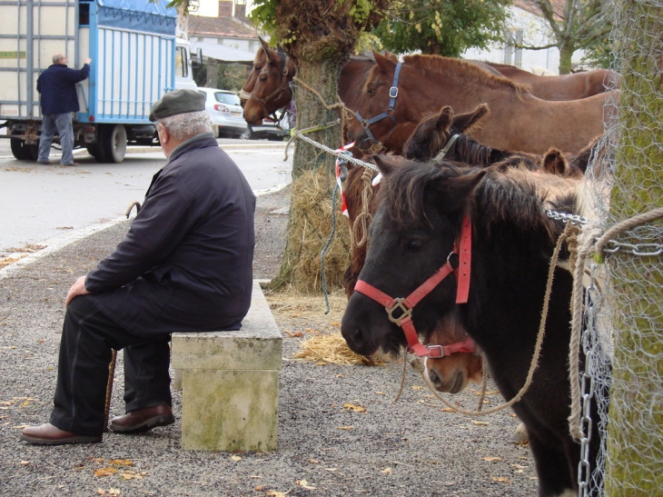 Foire aux chevaux et aux ânes - Curzon