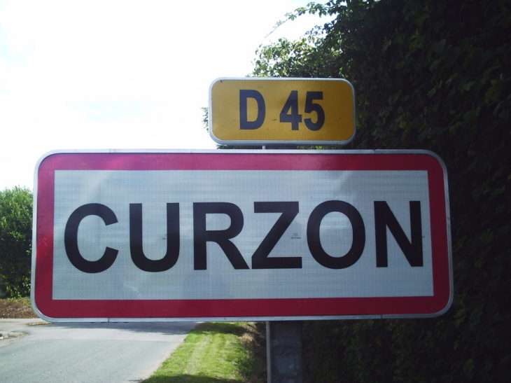 Panneau de curzon