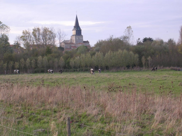 Le clocher vu du communal - Curzon