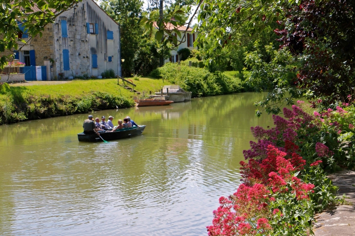 Sur la Sèvre Niortaise. - Damvix