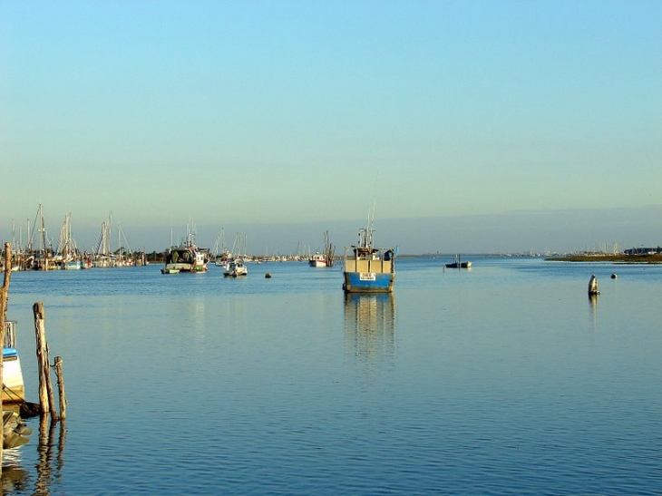 Grande marée - L'Aiguillon-sur-Mer