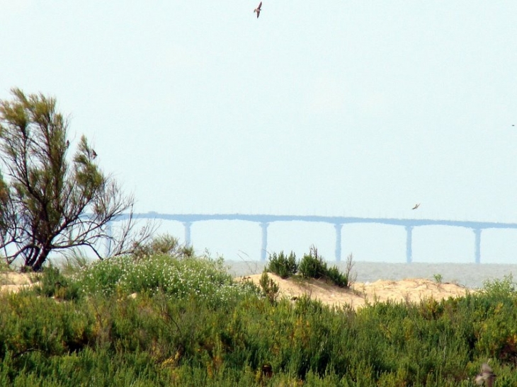 Pont de l'île de Ré vu de la pointe de L'Aiguillon - L'Aiguillon-sur-Mer