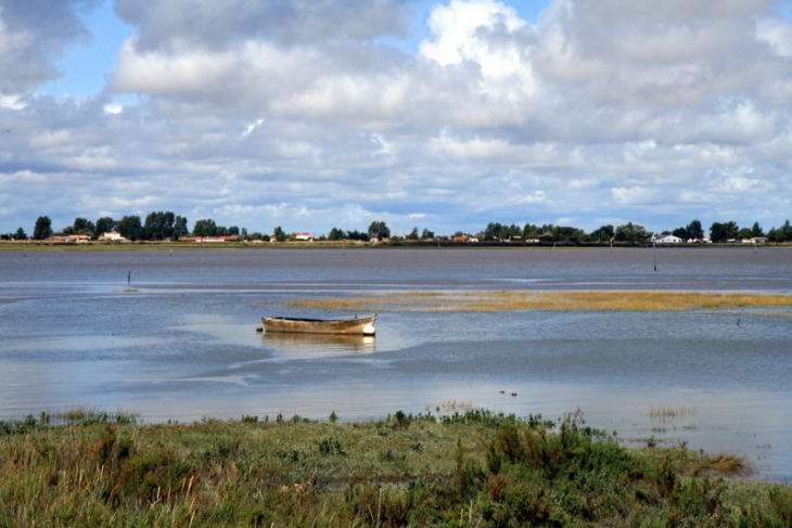 Rives du lay - L'Aiguillon-sur-Mer