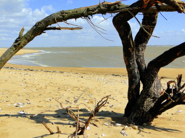 A la pointe de L'Aiguillon - L'Aiguillon-sur-Mer