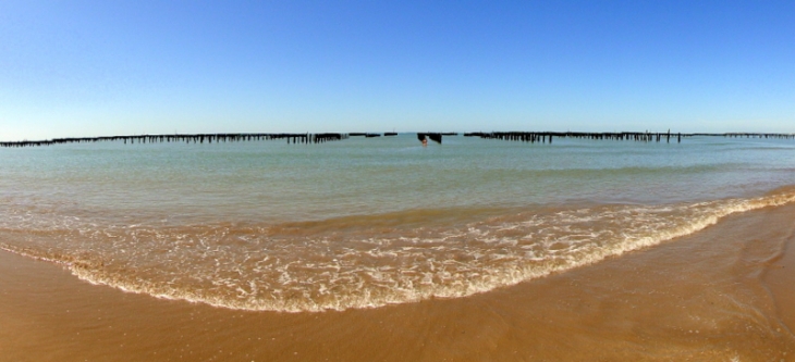 Panorama sur les bouchots ! - L'Aiguillon-sur-Mer