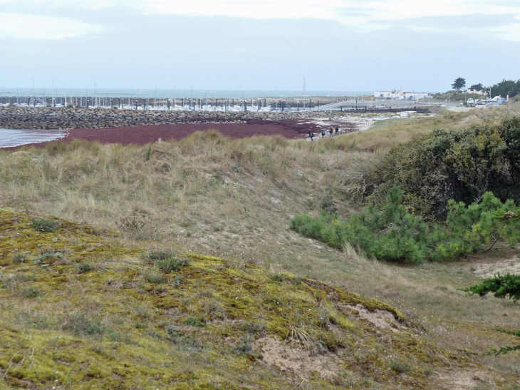 Port de Morin - L'Épine