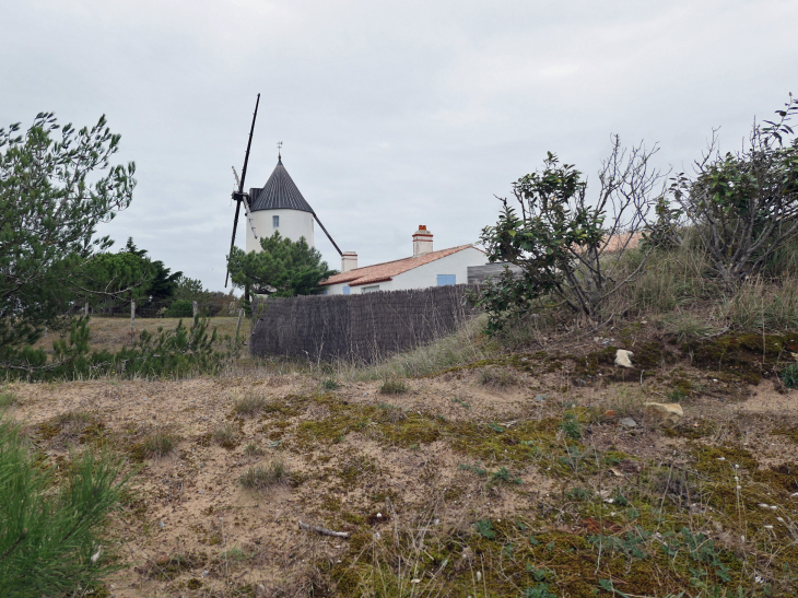 Le moulin de la Bosse - L'Épine