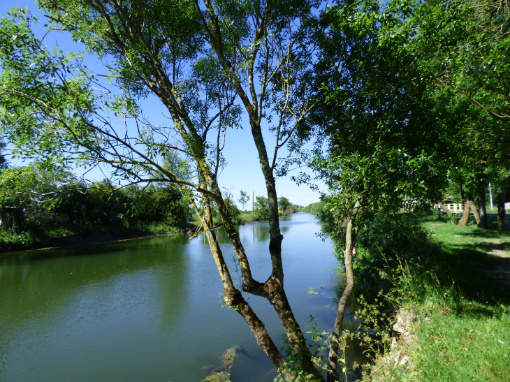 Bord de rivière Vendée. Crédit Photo D.GOGUET - L'Île-d'Elle