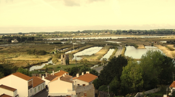 Vue panoramique du clocher - L'Île-d'Olonne