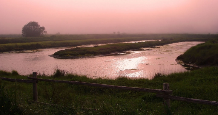 Terre de marais - L'Île-d'Olonne