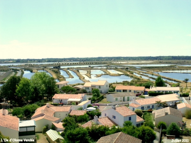 1200 hectares classés en réserve naturelles protégées - L'Île-d'Olonne