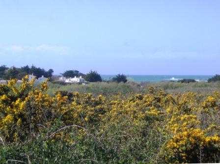 Le Port - L'Île-d'Yeu