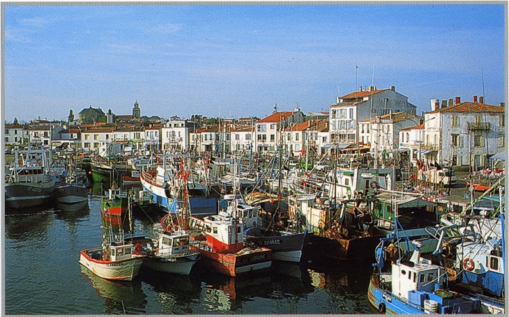 Port Joinville (carte postale de 2000) - L'Île-d'Yeu