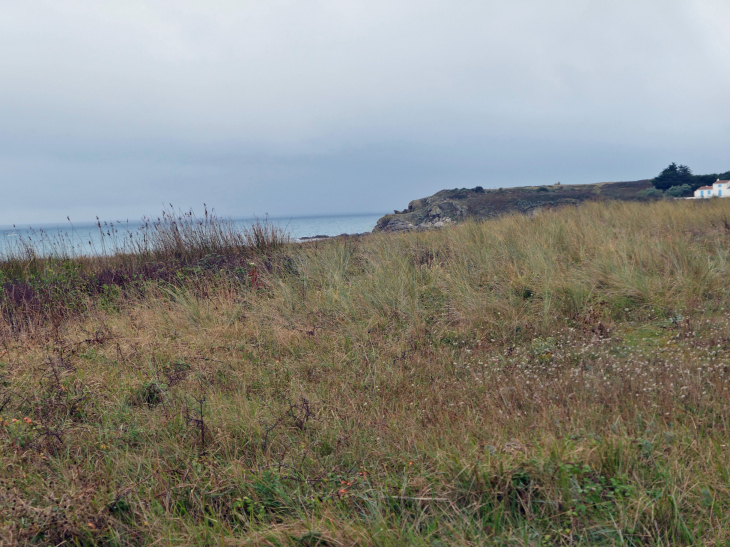 La côte Nord Est - L'Île-d'Yeu