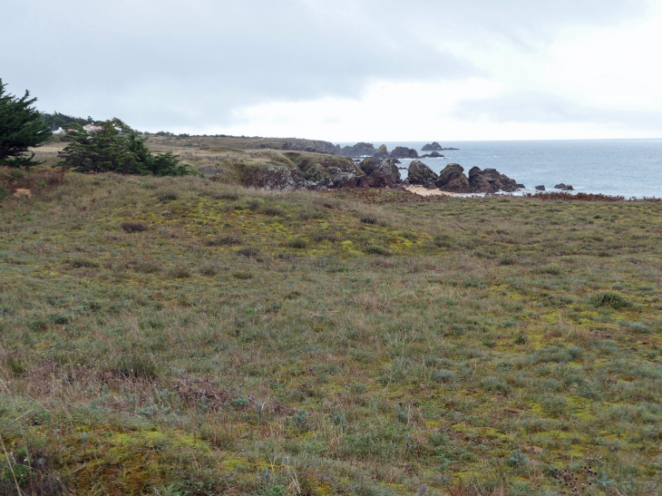 La côte sauvage : les Vieilles - L'Île-d'Yeu