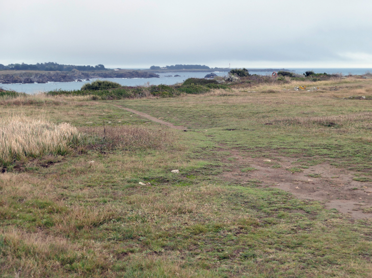 La côte sauvage : les Vieilles - L'Île-d'Yeu