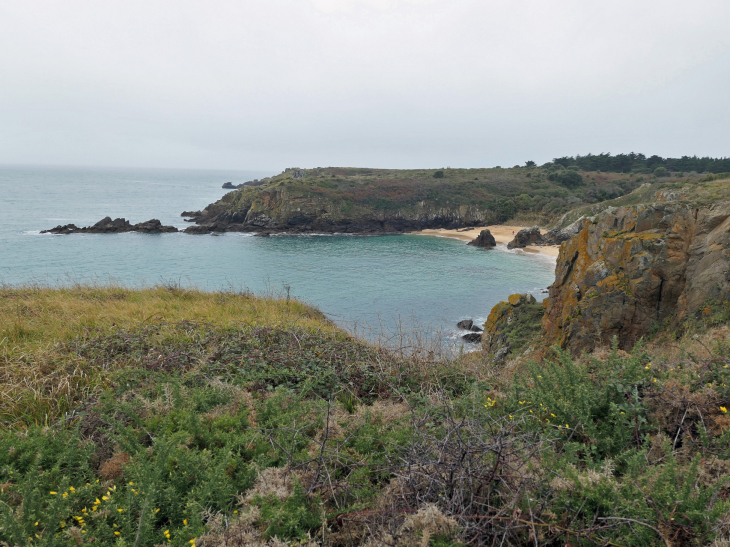 La côte sauvage : l'anse des Soux - L'Île-d'Yeu