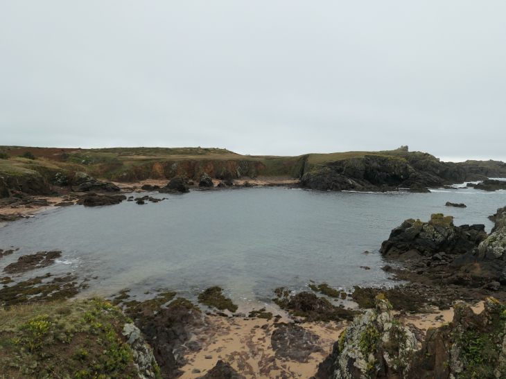 La côte sauvage : l'anse des Fontaines - L'Île-d'Yeu