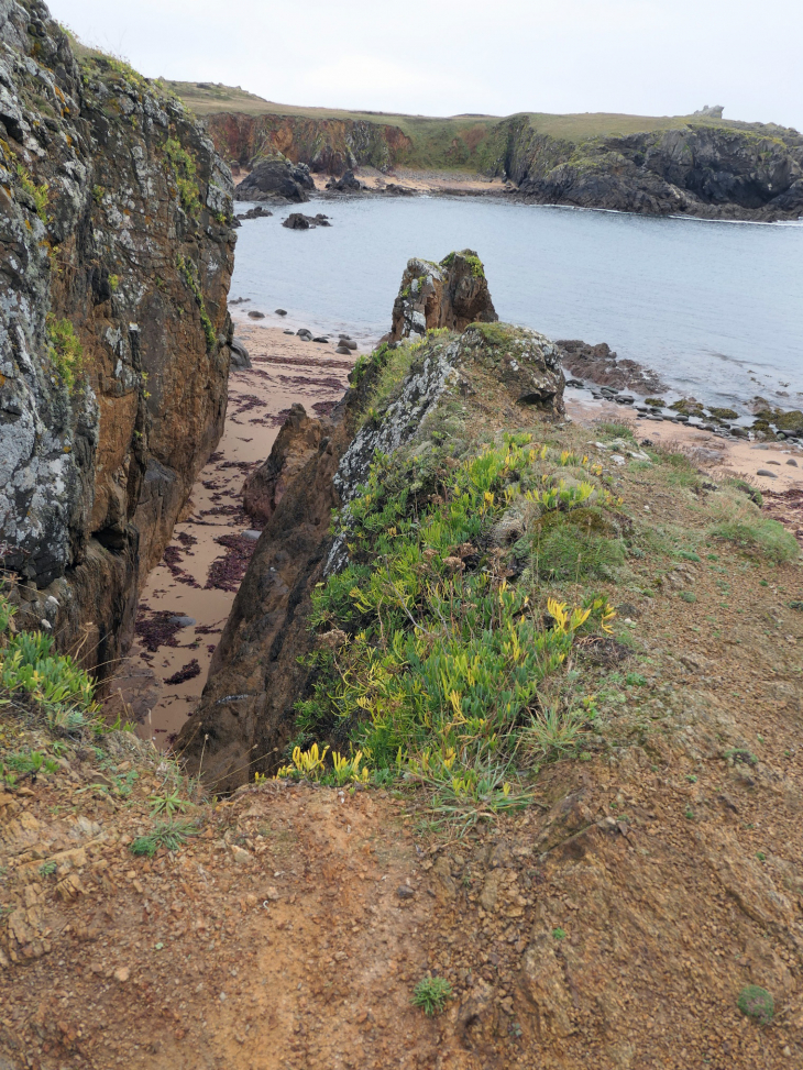 La côte sauvage : l'anse des Fontaines - L'Île-d'Yeu