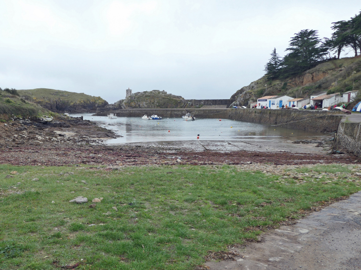 La côte sauvage : le port de la Meule - L'Île-d'Yeu