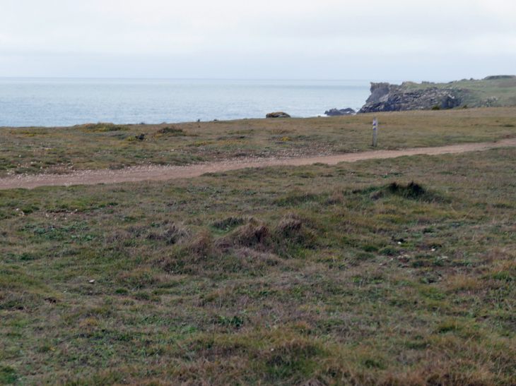 La côte sauvage : la pointe des degrés - L'Île-d'Yeu