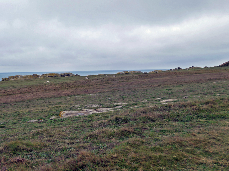 La côte sauvage : la pointe des degrés - L'Île-d'Yeu