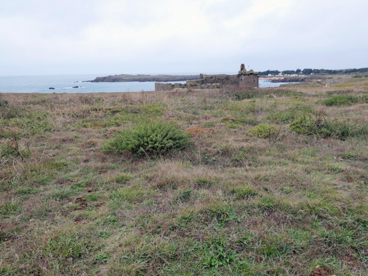 La côte sauvage : le vieux château                                                                                                                                                                                                                              - L'Île-d'Yeu