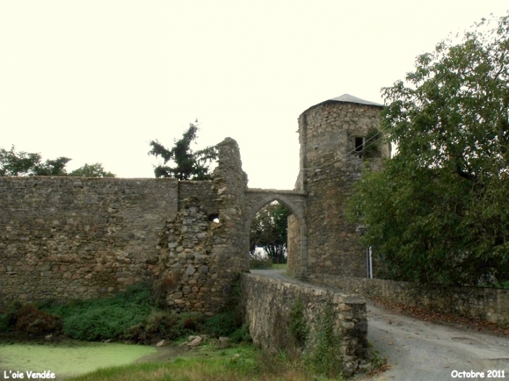 Forteresse médiévale détruite lors des guerres de Vendée  - L'Oie