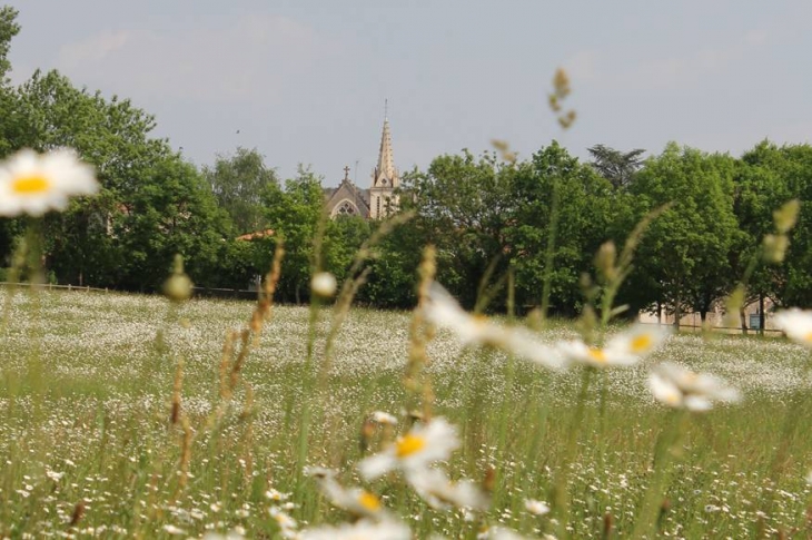 Parc en mai - L'Orbrie