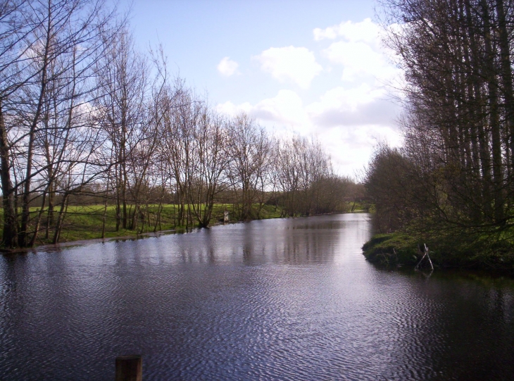 Le marais de La Couture