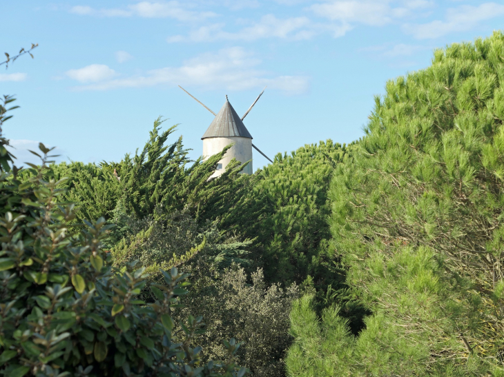 Moulin - La Guérinière