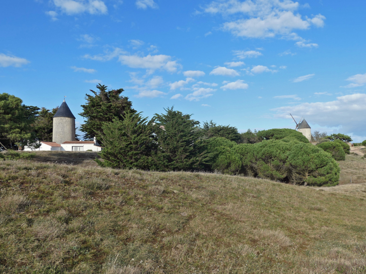 Moulin transformé en habitation - La Guérinière