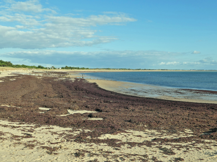 La côte Sud Ouest : la plage des sables d'Or - La Guérinière